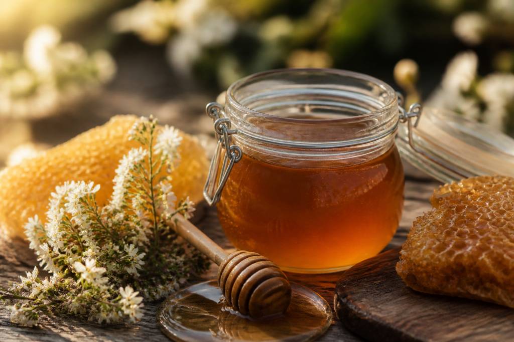 Quel est le meilleur miel au gout corsé pour les amateurs de saveurs intenses