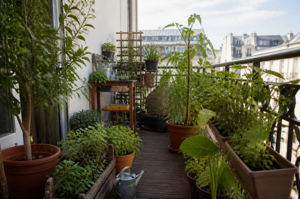 Permaculture sur balcon : quels principes pour aménager un mini potager urbain